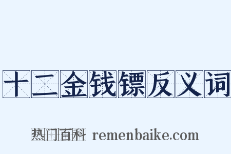 十二金钱镖反义词是什么意思的图片